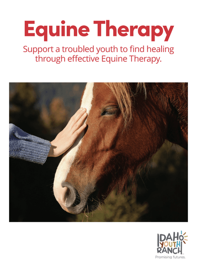 Equine Therapy