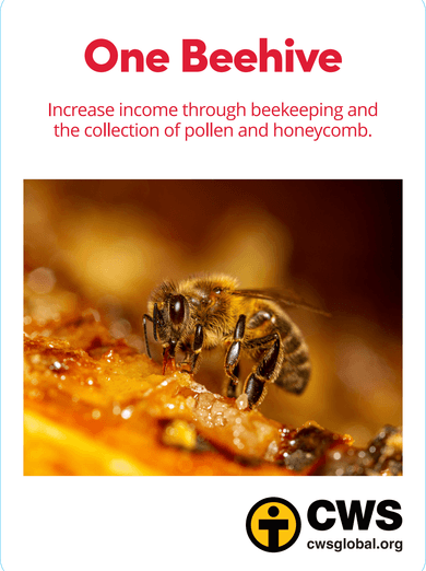 One Beehive